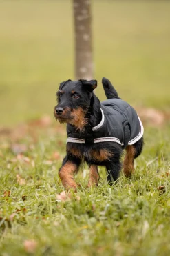 Clearance Sudbury 2-i-1 hundedekken, 0 og 100 gram Hundeklær Og Hundedekken