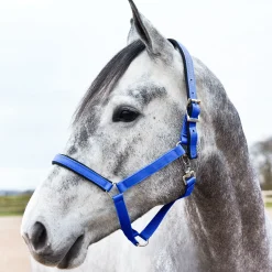 Supreme grime med fôring Grimer