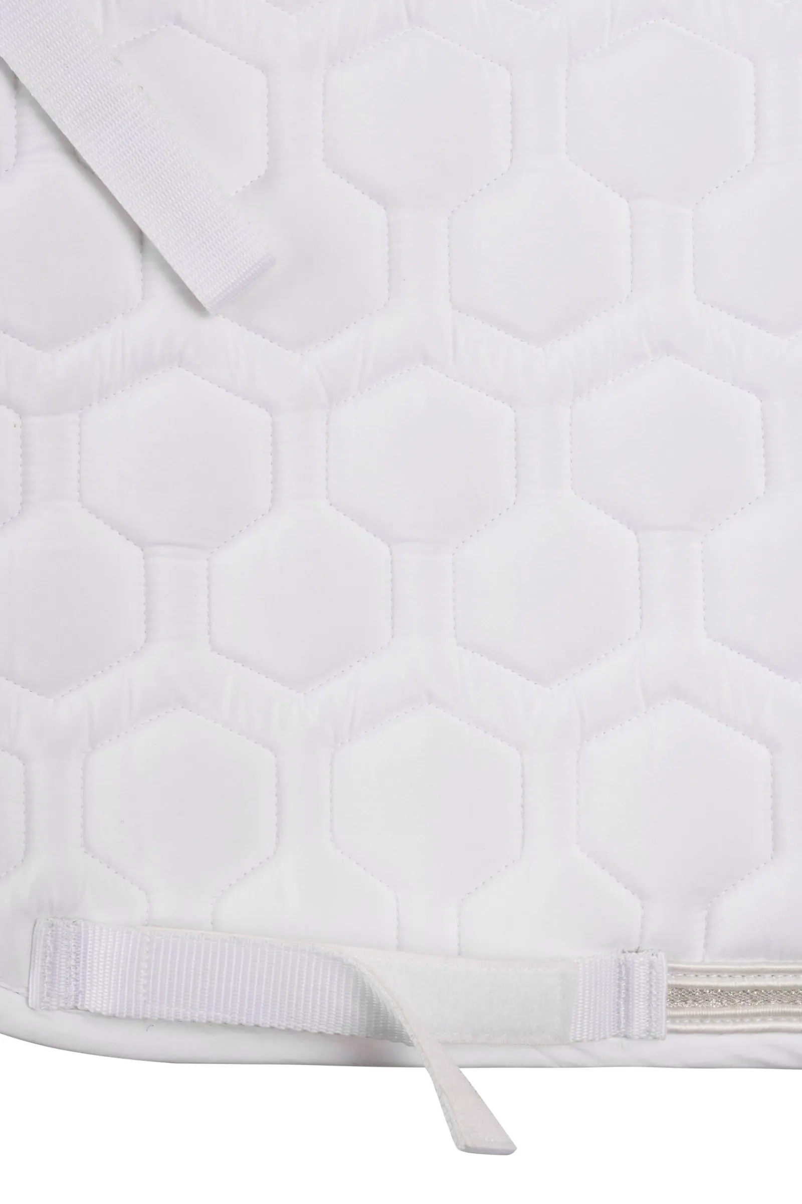 Urban Vitality sprangsjabrak til stevne Ponni Sjabrak|Allround- Og Sprangsjabraker