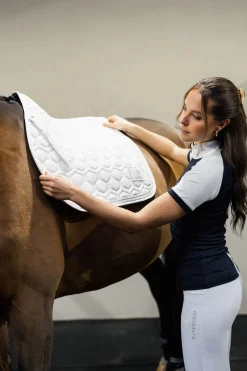 Urban Vitality sprangsjabrak til stevne Ponni Sjabrak|Allround- Og Sprangsjabraker