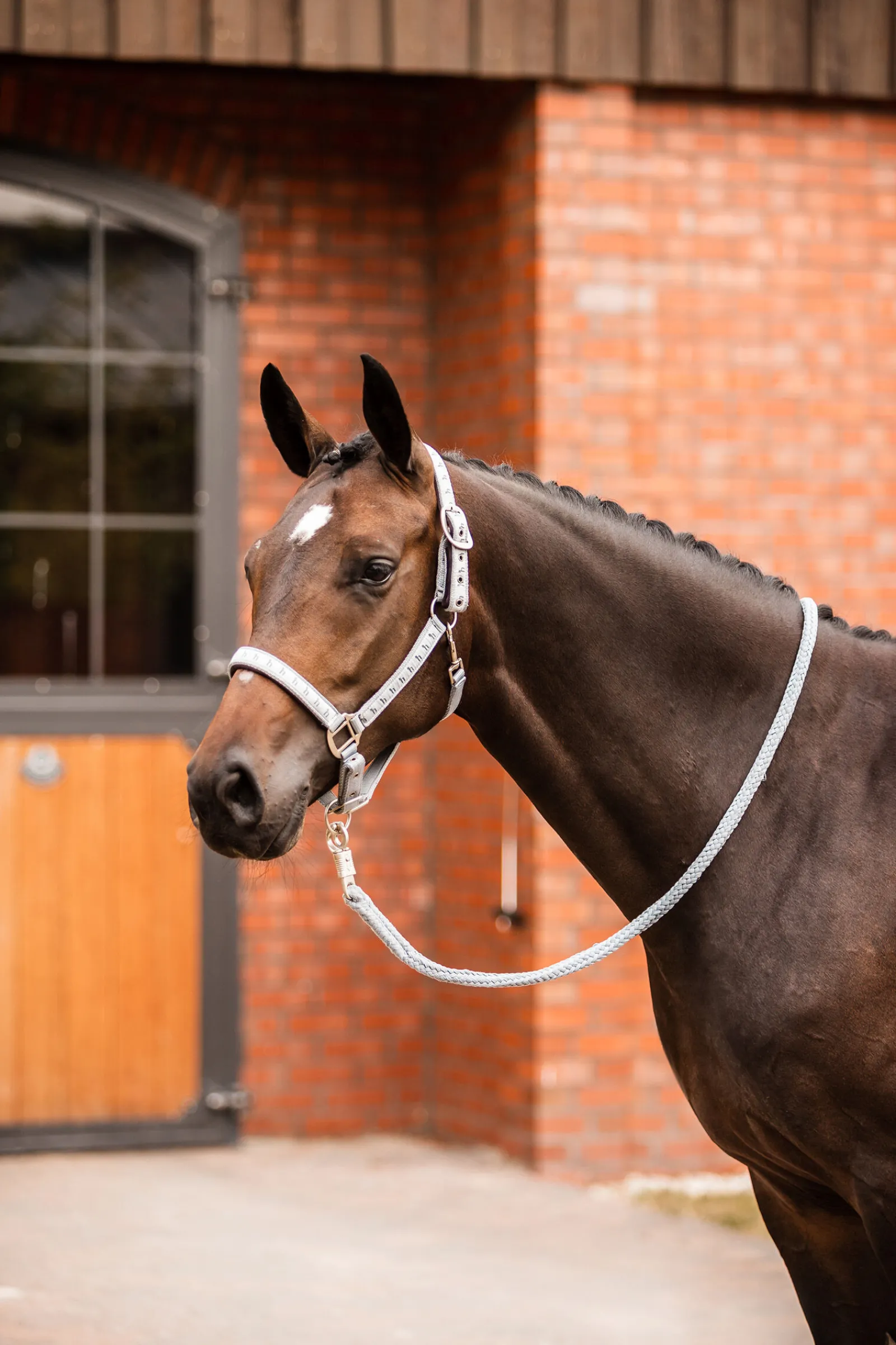 Outlet Victoria grime Grimer