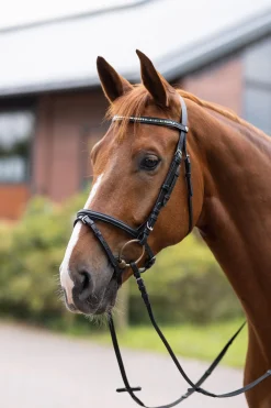 Weston hodelag Ponni Hodelag Og Grimer|Hodelag & Nesereimer