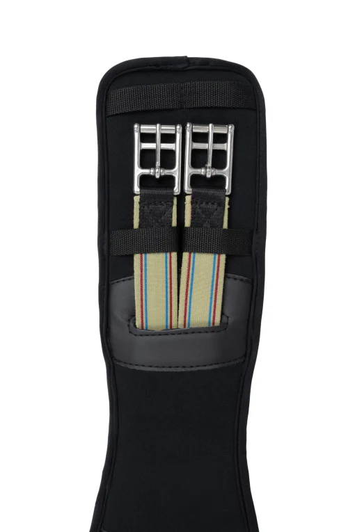 Hot Winston kort dressurgjord med memory foam Gjorder