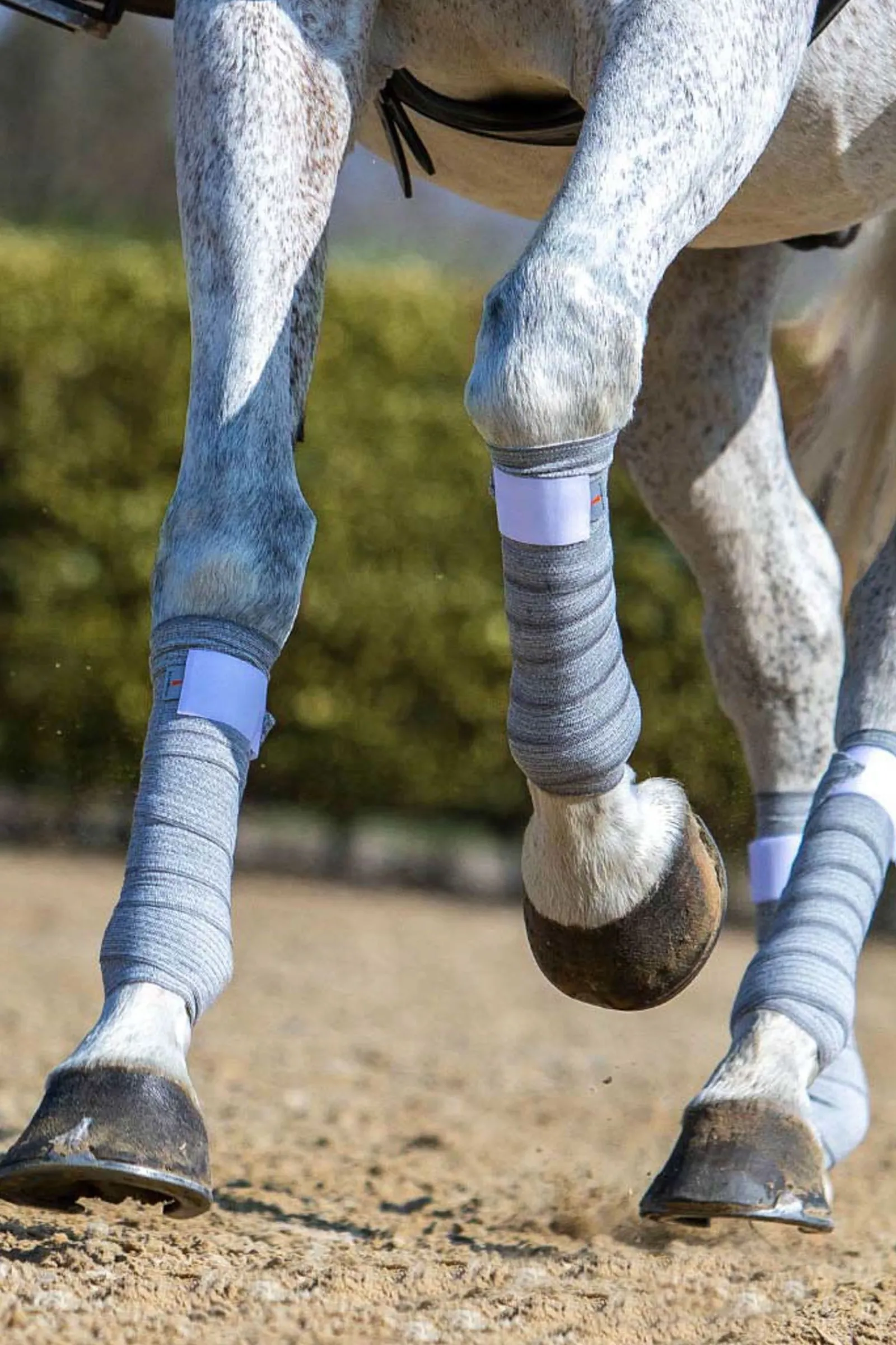 Discount Circulation bandasjer (9 cm) Bandasjeunderlag Til Hest