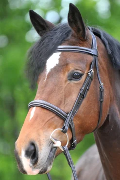 New Akila hodelag Ponni Hodelag Og Grimer|Hodelag & Nesereimer