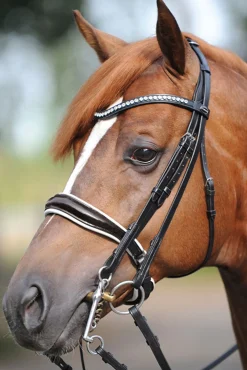Hot Antonia kandarhodelag med pullback nesereim Hodelag & Nesereimer