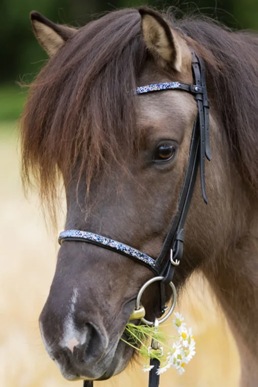 Outlet Blár Combined Noseband for Kjartan Icelandic Bridle Hodelag & Nesereimer