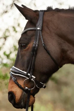 Discount Charlotte dressurhodelag med pullback nesereim Ponni Hodelag Og Grimer|Hodelag & Nesereimer