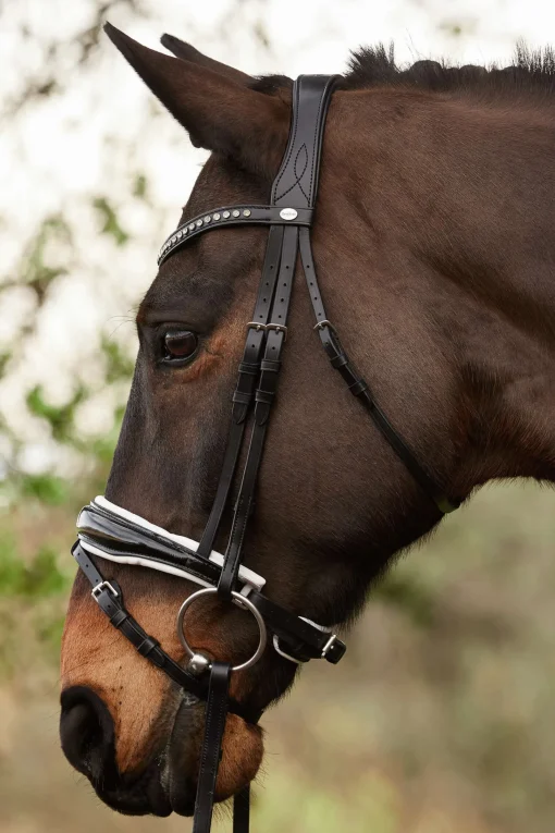 Discount Charlotte dressurhodelag med pullback nesereim Ponni Hodelag Og Grimer|Hodelag & Nesereimer