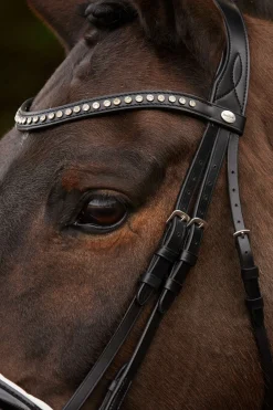 Discount Charlotte dressurhodelag med pullback nesereim Ponni Hodelag Og Grimer|Hodelag & Nesereimer