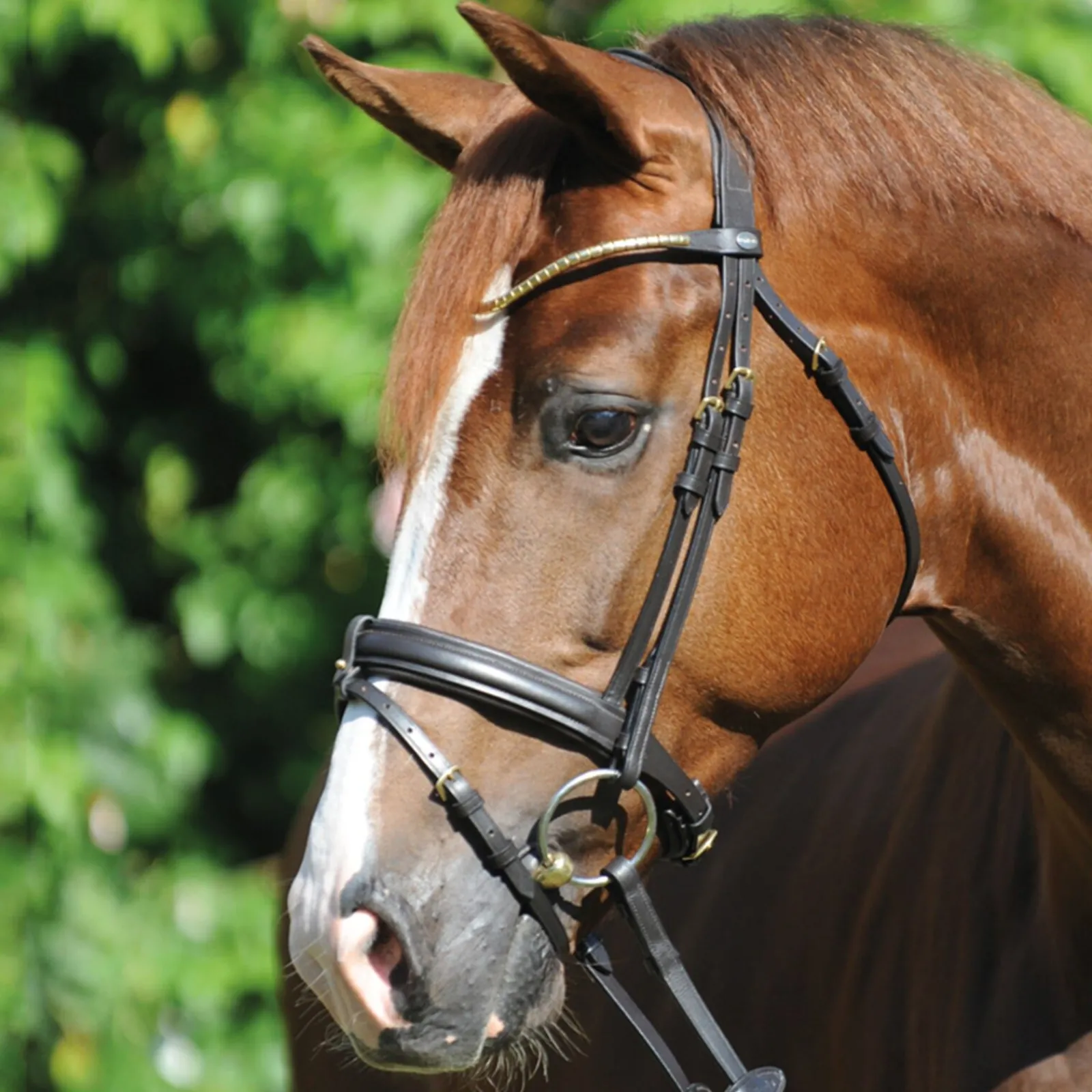 Clinchesse Bridle Ponni Hodelag Og Grimer|Hodelag & Nesereimer