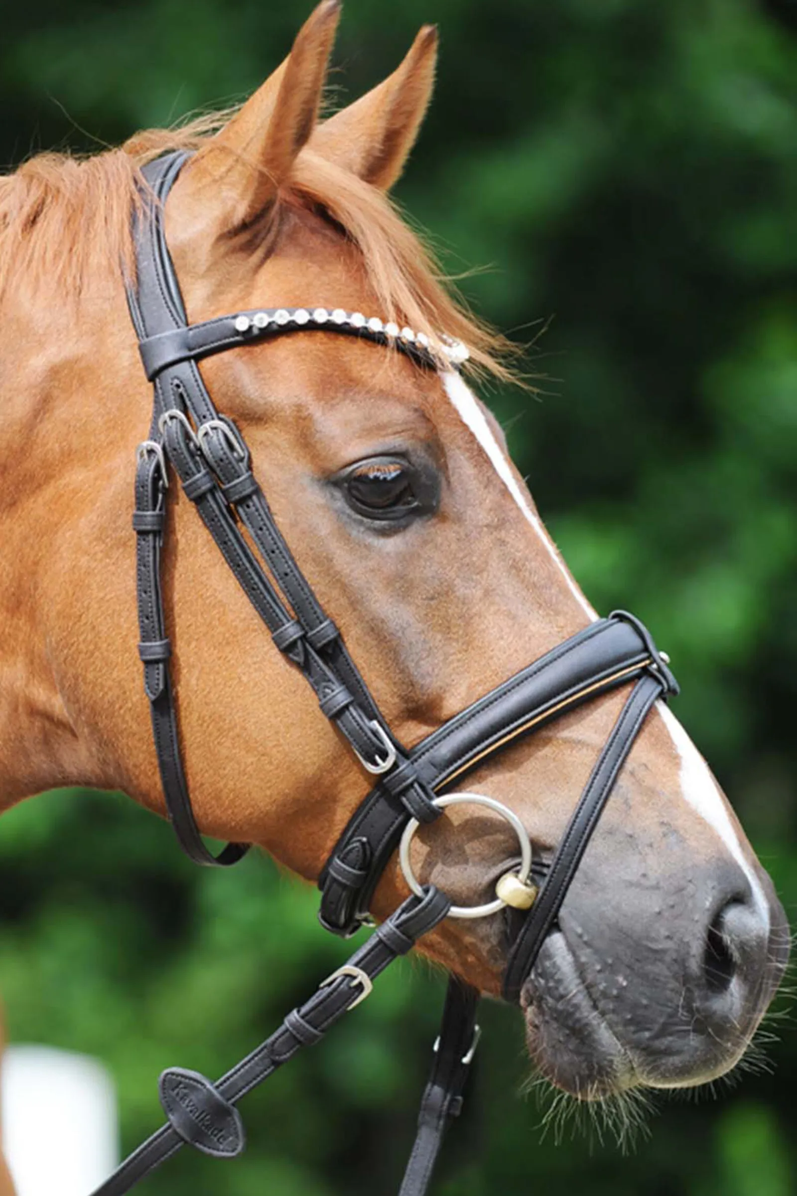 Online Cortica Vegan Cork hodelag Ponni Hodelag Og Grimer|Hodelag & Nesereimer