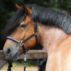 Hot Draft Horse Classic grime Grimer