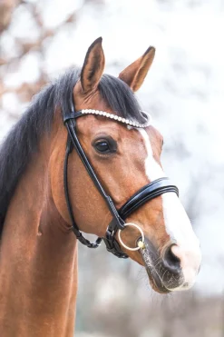Discount Florina KavalSH4 hodelag Ponni Hodelag Og Grimer|Hodelag & Nesereimer