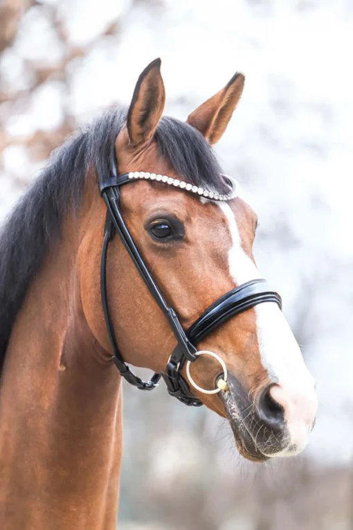 Discount Florina KavalSH4 hodelag Ponni Hodelag Og Grimer|Hodelag & Nesereimer