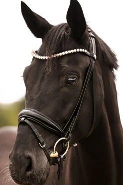 Hot Fortuna KavalSH4 Bridle Ponni Hodelag Og Grimer|Hodelag & Nesereimer