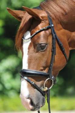 Outlet Grey Bridle Ponni Hodelag Og Grimer|Hodelag & Nesereimer