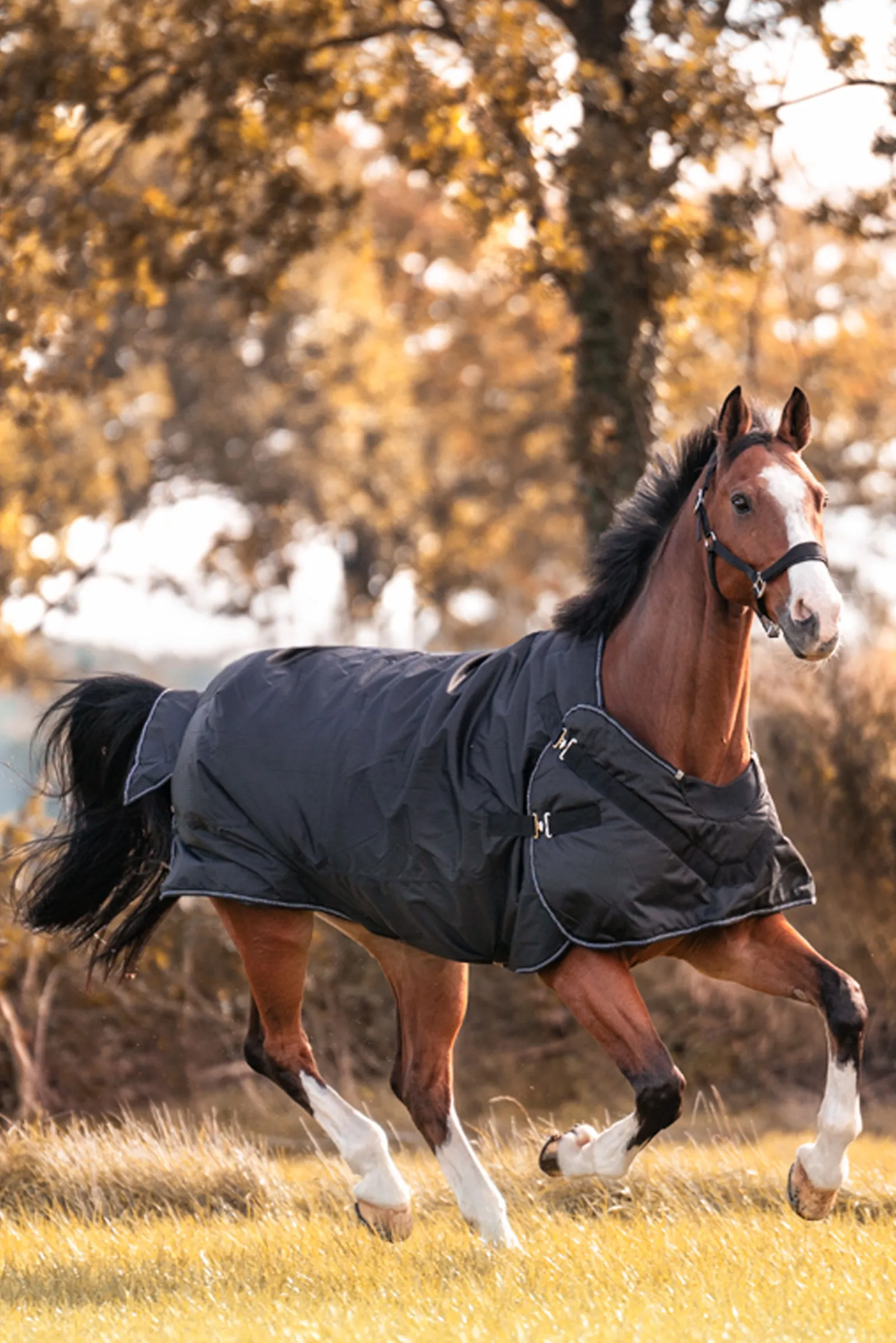 Outlet Halifax 2-i-1 Utedekken og Walker-dekken 50g Regndekken