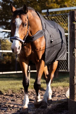 Outlet Halifax 2-i-1 Utedekken og Walker-dekken 50g Regndekken