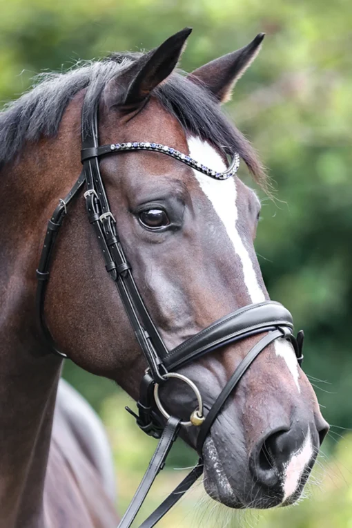 New hodelag Ocean crank med nesereim og strammefunksjon Hodelag & Nesereimer