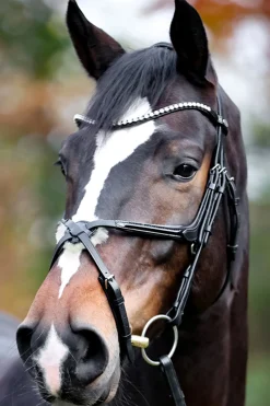 Online Lucia Mexican Bridle Hodelag & Nesereimer