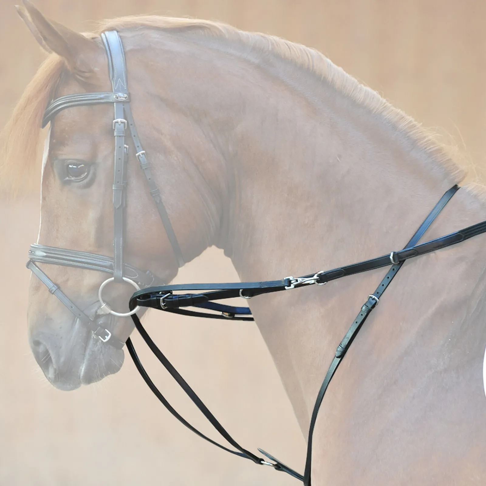 Online Market Harborough martingal Hjelpetøyler Og Longeringssystemer|Hjelpetøyler Og Longeringssystemer