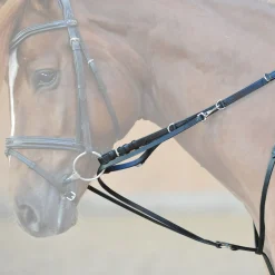 Online Market Harborough martingal Hjelpetøyler Og Longeringssystemer|Hjelpetøyler Og Longeringssystemer