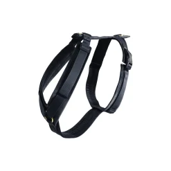 Kentucky Dogwear Active Velvet sele Hundebånd
