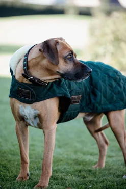 Kentucky Dogwear hundedekken Hundeklær Og Hundedekken
