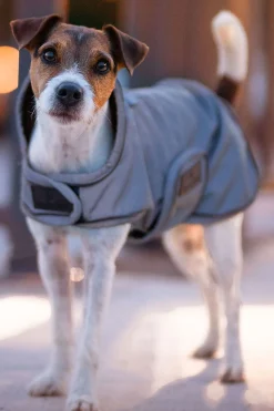 Hot Kentucky Dogwear hundedekken, reflekterende og vannavvisende Hundeklær Og Hundedekken