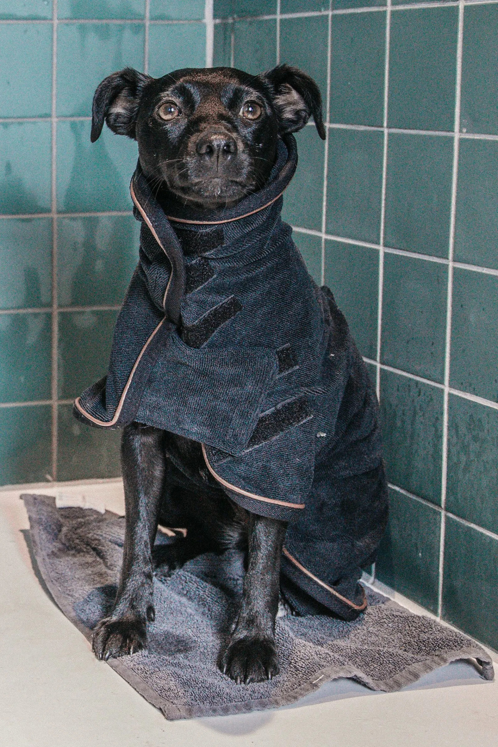 Online Kentucky Dogwear Towel hundedekken Hundeklær Og Hundedekken