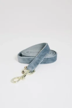 Discount Kentucky Dogwear Velvet hundekobbel Hundebånd