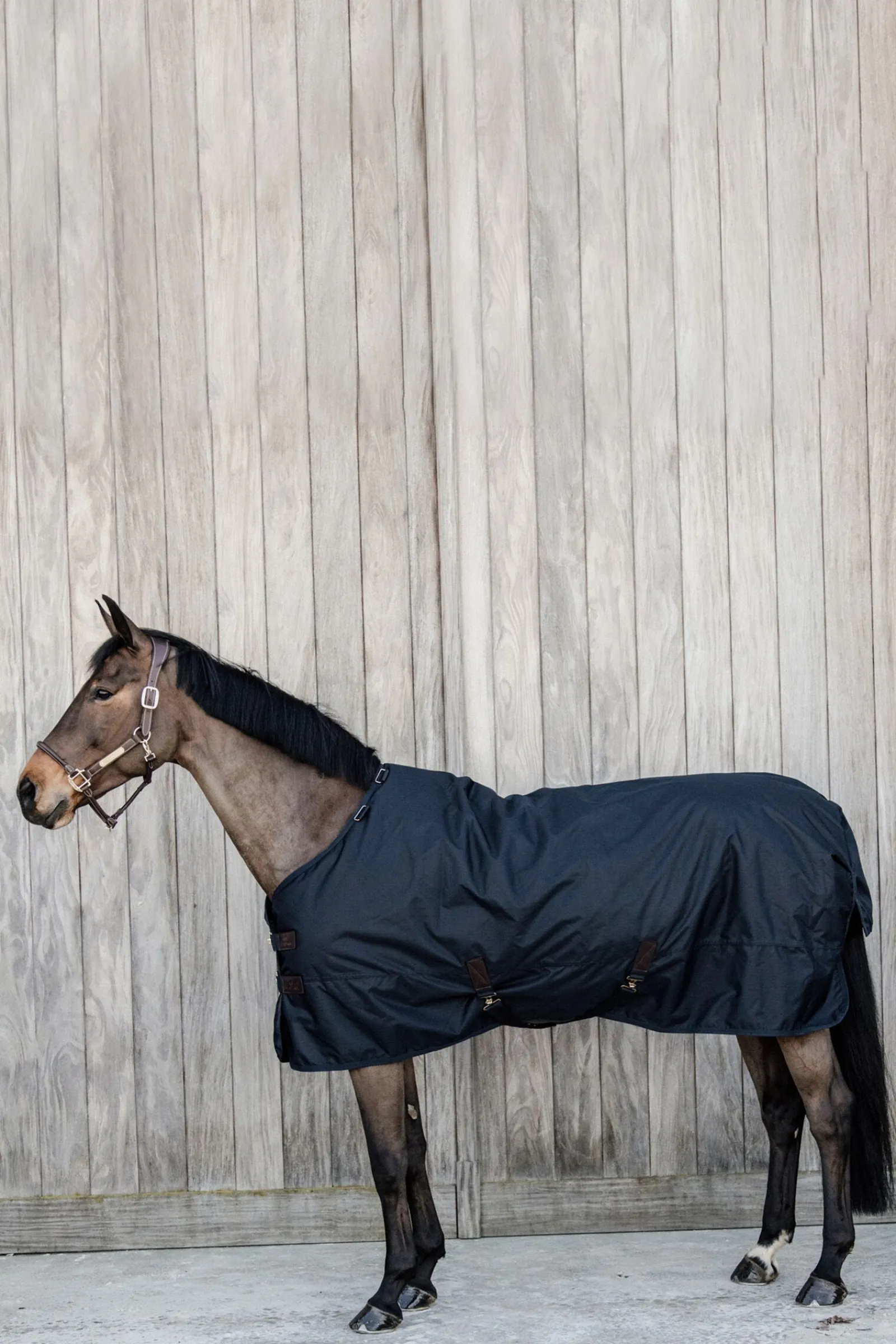 Best Horsewear All Weather Waterproof Classic utedekken, 50 gram Regndekken