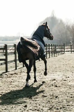 Best Horsewear All Weather Waterproof Classic utedekken, 50 gram Regndekken