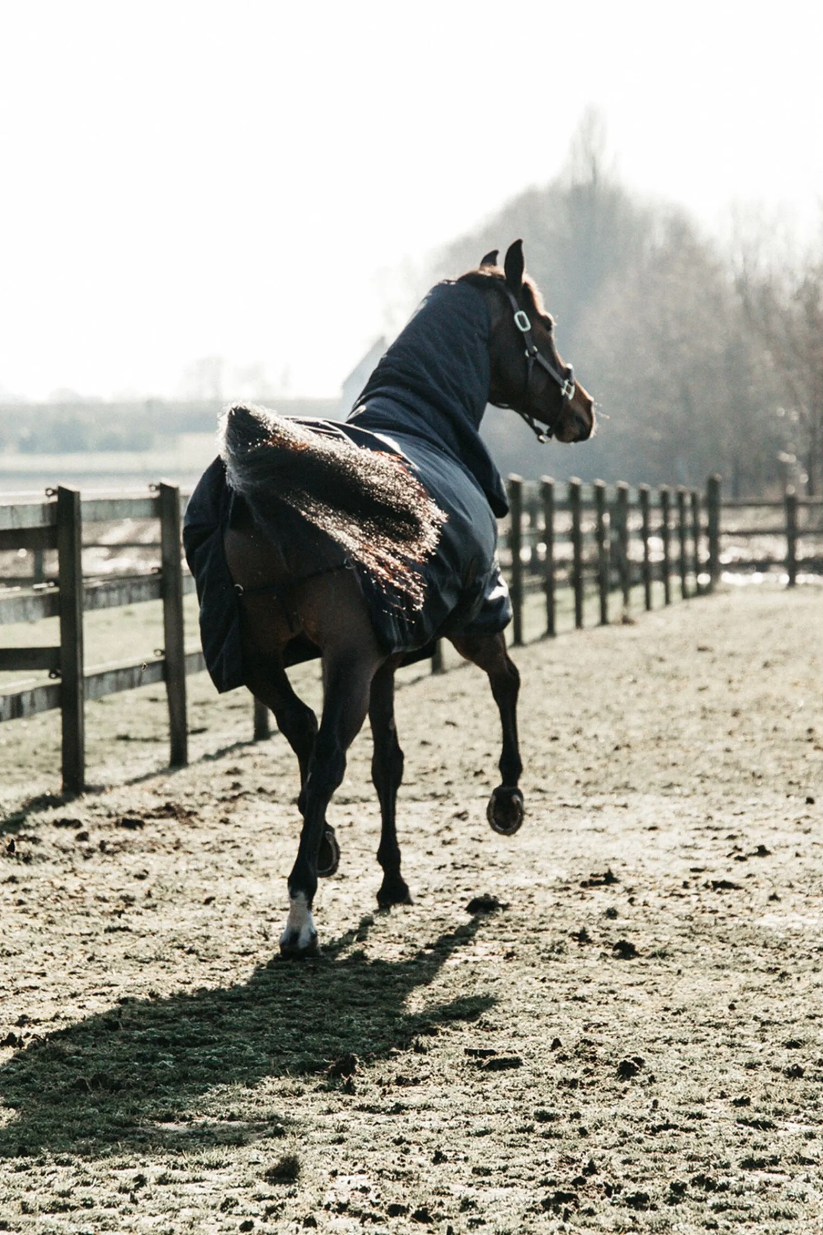 Best Horsewear All Weather Waterproof Classic utedekken, 50 gram Regndekken