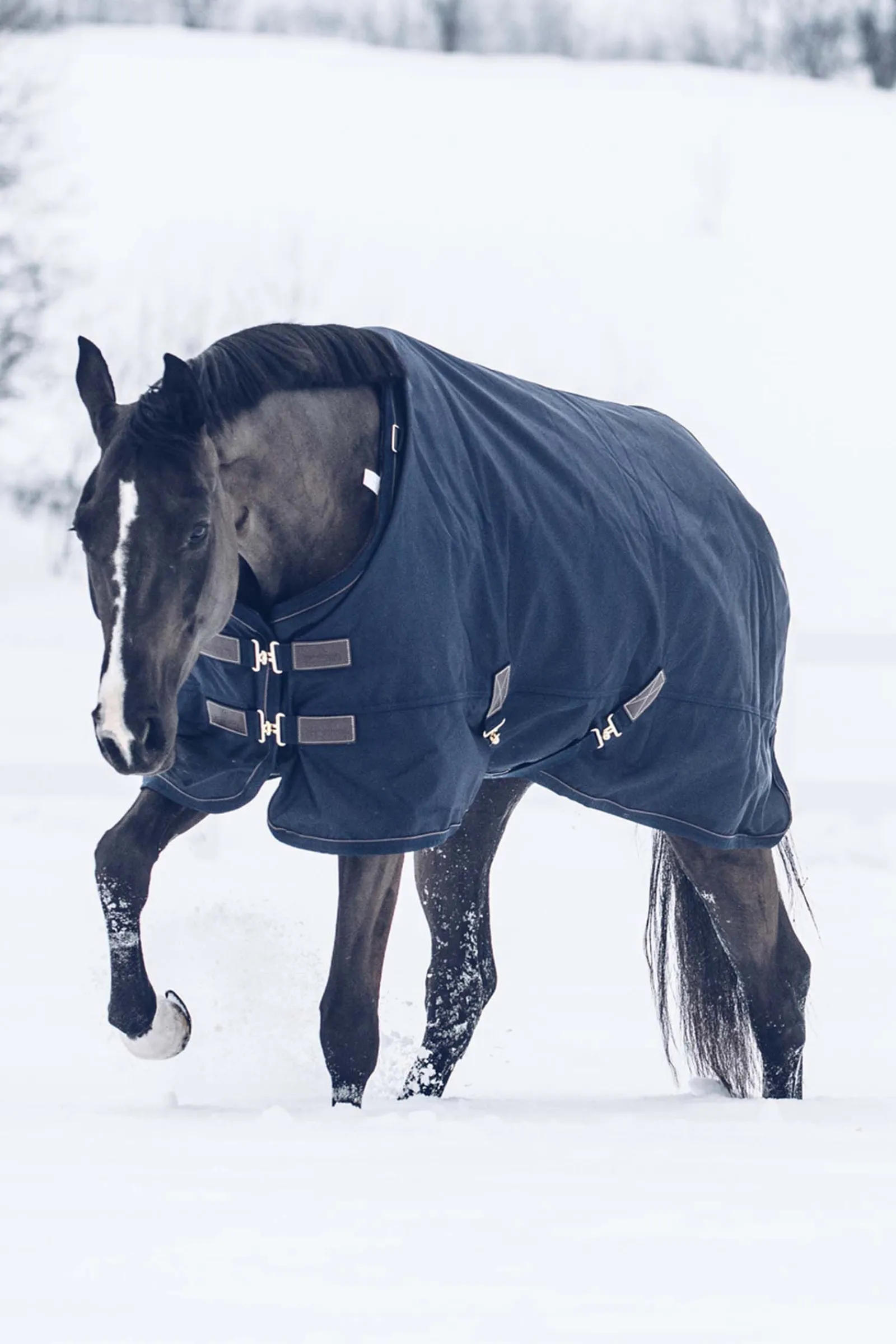 Sale Horsewear All Weather Classic utedekken, 300 gram Overgangsdekken & Vinterdekken