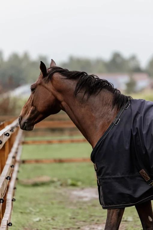 Sale Horsewear All Weather utedekken, 300 gram Overgangsdekken & Vinterdekken