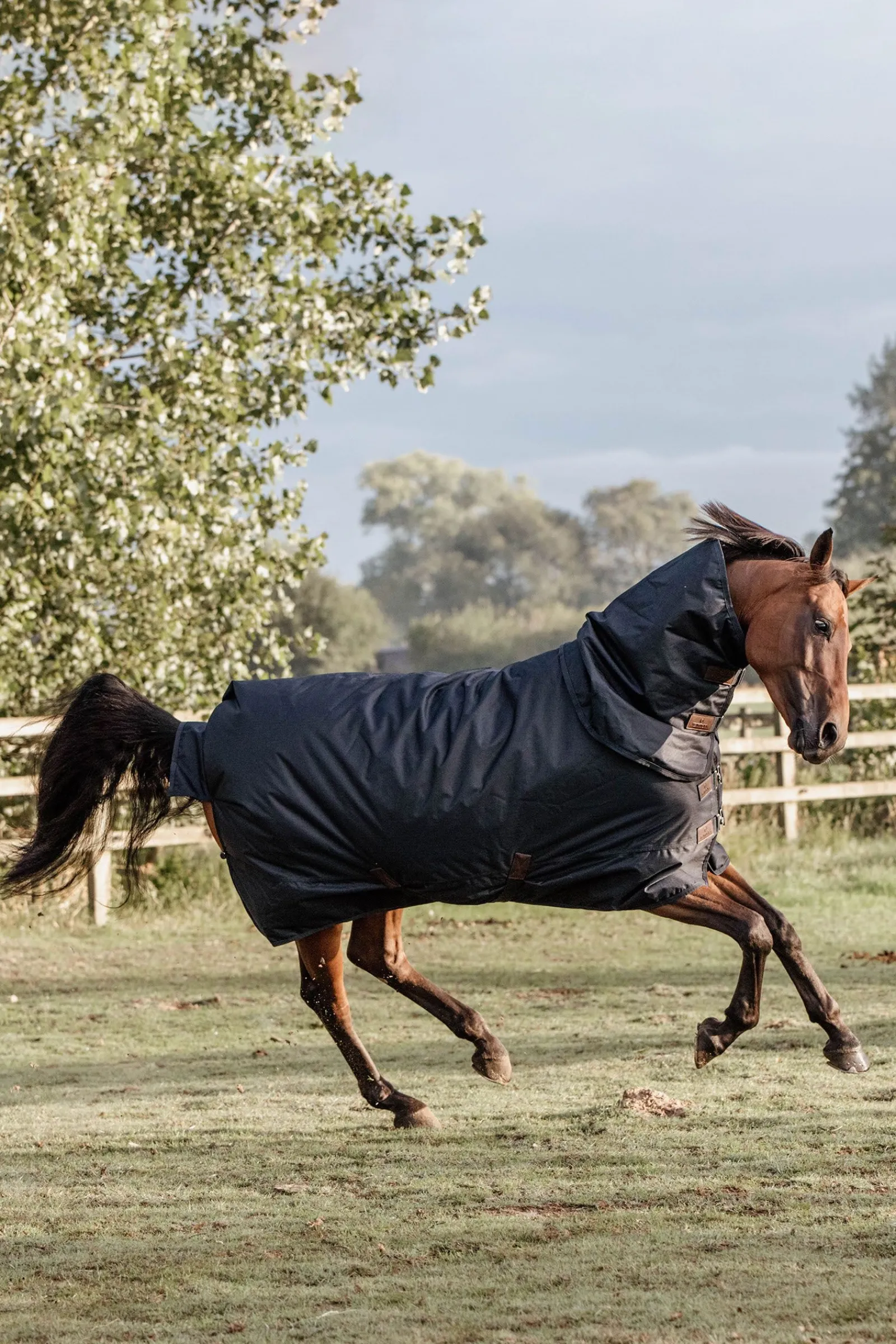New Horsewear All Weather Classic utedekken, 150 gram Overgangsdekken & Vinterdekken