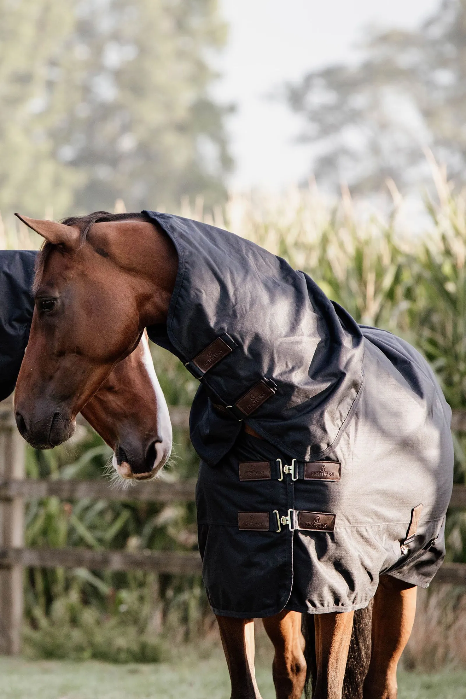 New Horsewear All Weather Classic utedekken, 150 gram Overgangsdekken & Vinterdekken