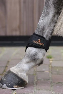 Discount Horsewear bakbeinsbelegg til unghest Bakbeinsbelegg Og Stryksokker