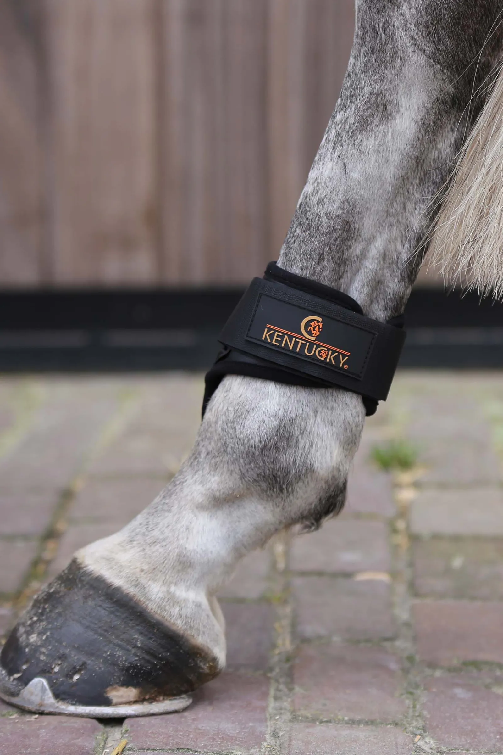 Discount Horsewear bakbeinsbelegg til unghest Bakbeinsbelegg Og Stryksokker