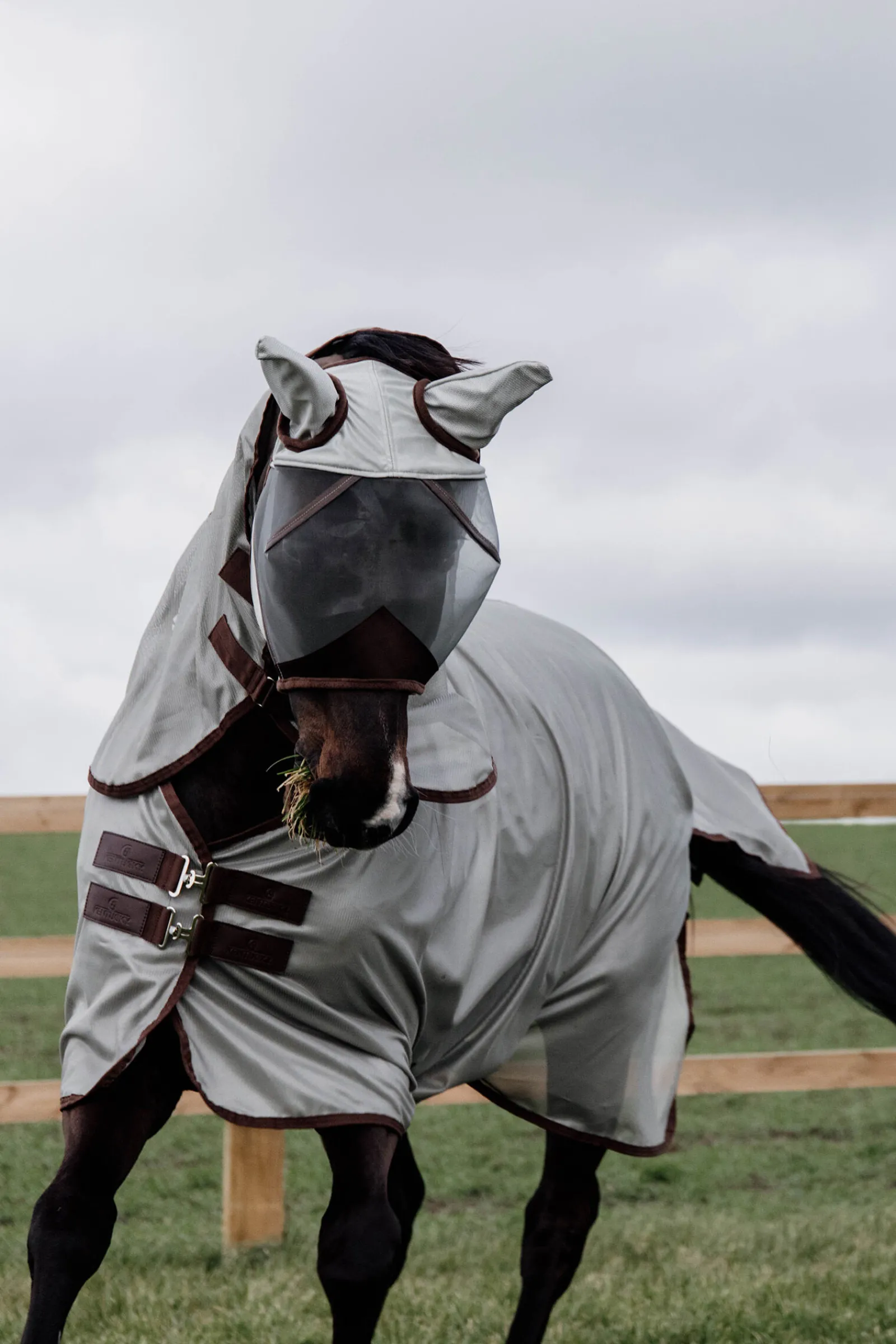 New Horsewear Classic Mesh fluedekken Insektsdekken|Insektsdekken