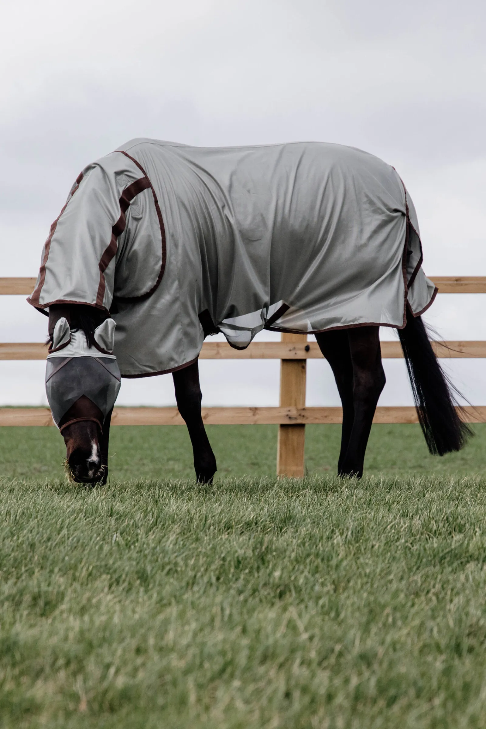 New Horsewear Classic Mesh fluedekken Insektsdekken|Insektsdekken