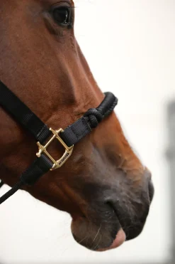 Hot Horsewear Control grime Grimer