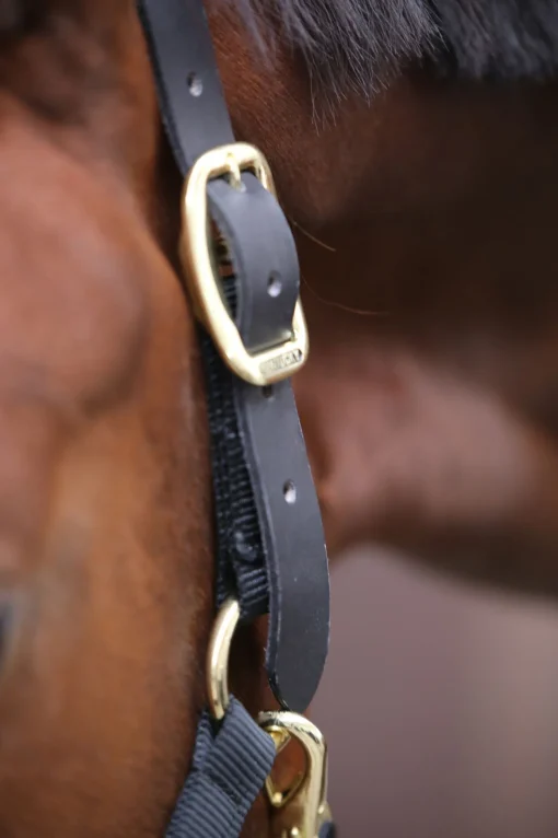 Hot Horsewear Control grime Grimer