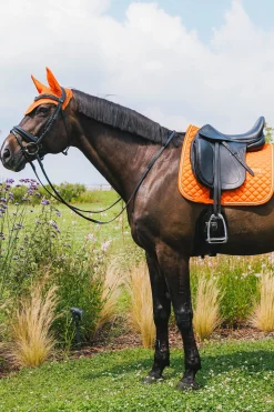 Sale Horsewear dressursjabrak Diamond Rope Dressursjabraker