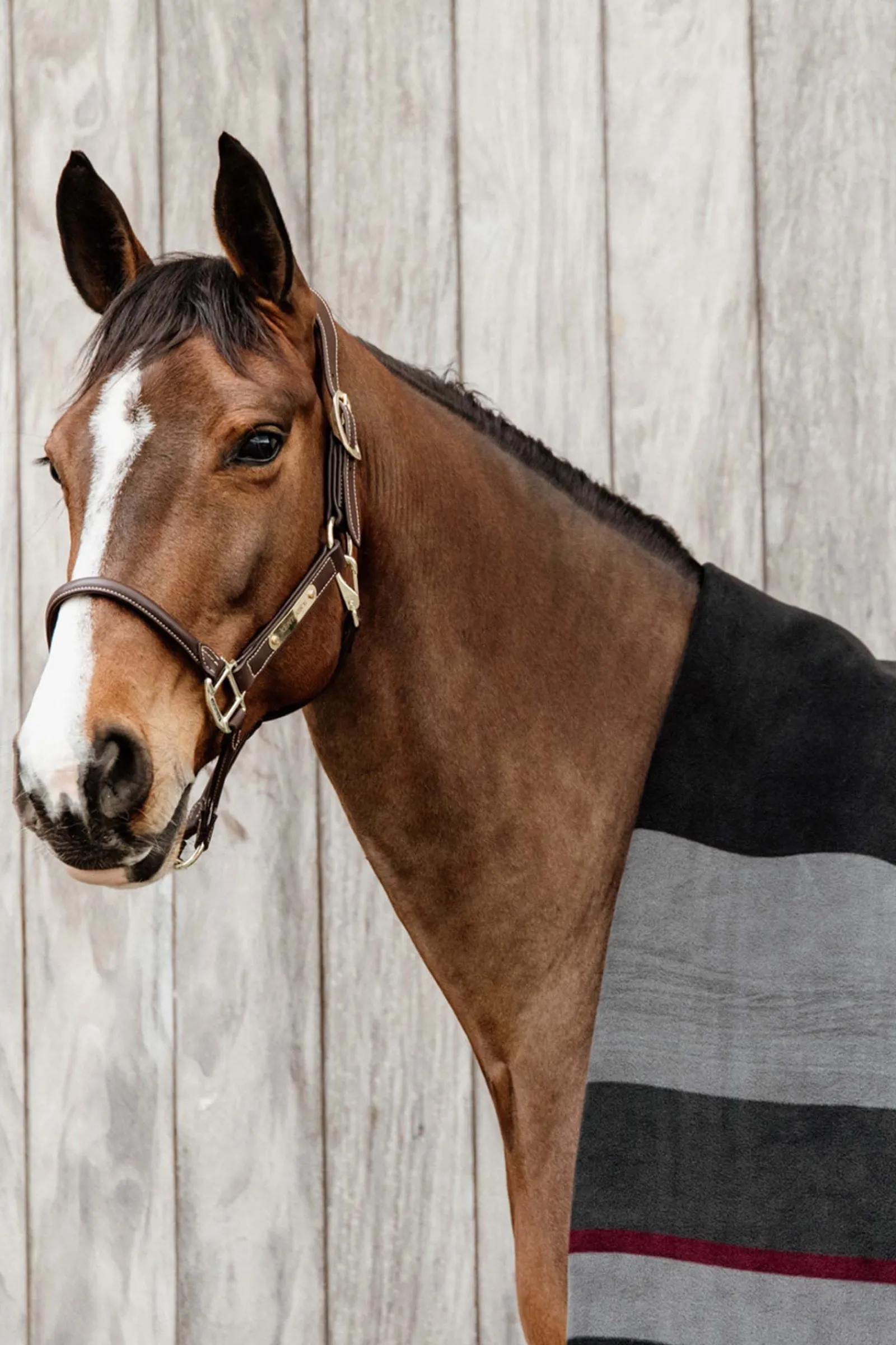 Best Horsewear Heavy fleecedekken Ulldekken Og Svettedekken