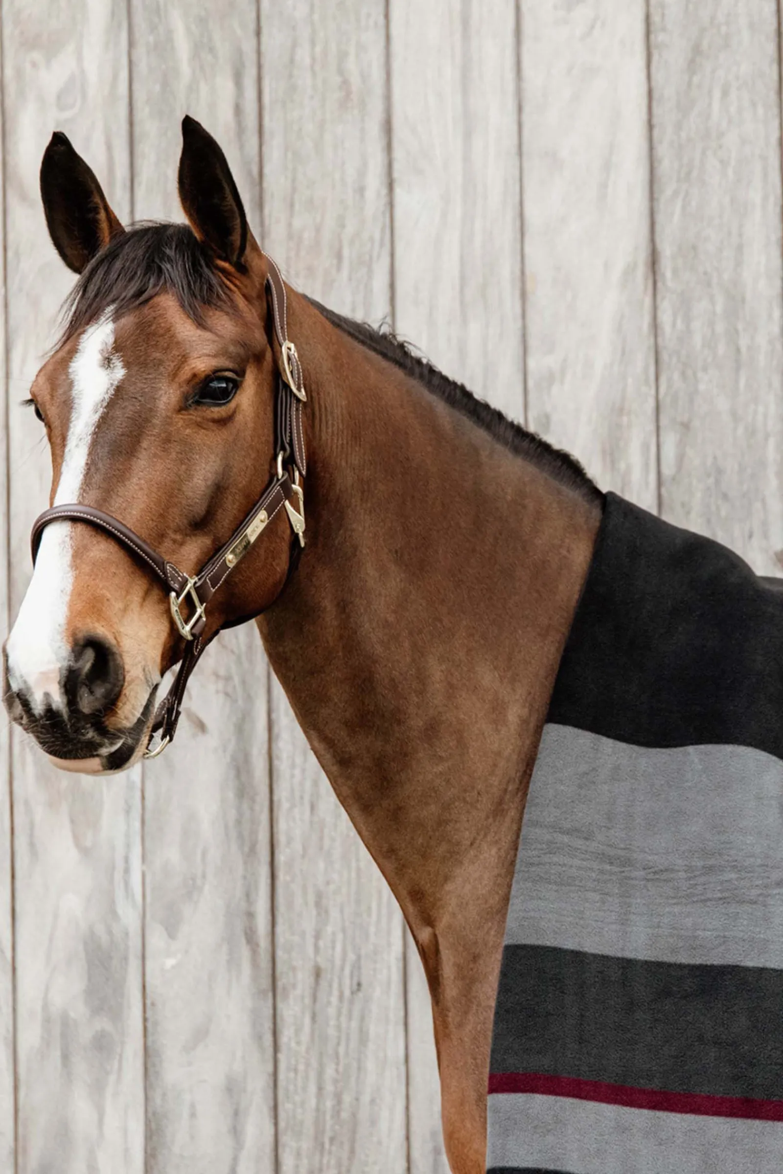 Online Horsewear Heavy fleecedekken Ulldekken Og Svettedekken