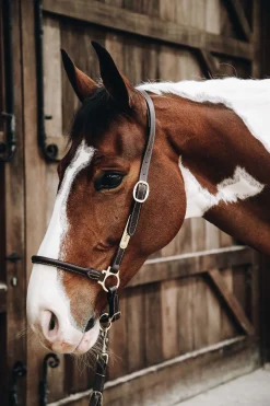 Horsewear lærgrime for stell Lærgrimer