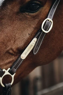 Horsewear lærgrime for stell Lærgrimer